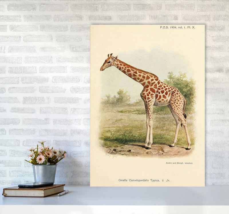 The Gentle Giraffe Art Print by Jason Stanley A1 Black Frame