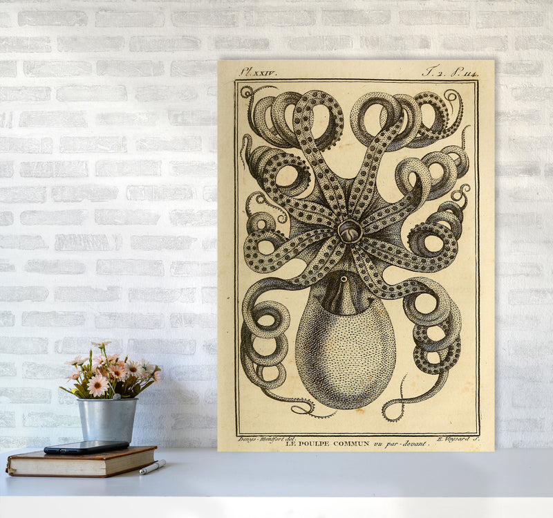 Vintage Octopus Art Print by Jason Stanley A1 Black Frame