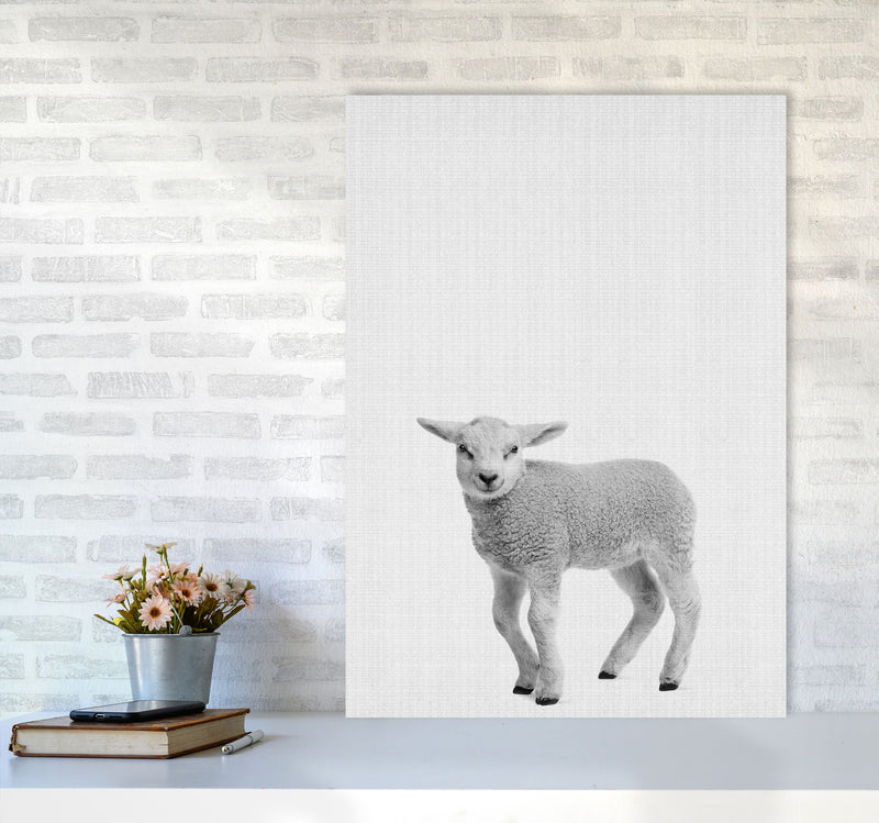 Lamb Art Print by Jason Stanley A1 Black Frame