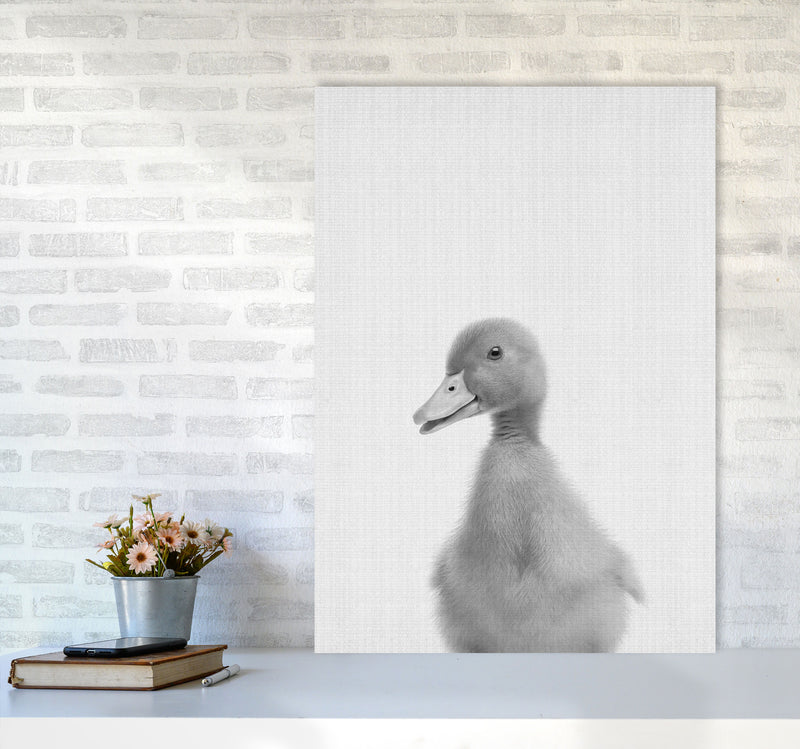 Curious Duck Art Print by Jason Stanley A1 Black Frame