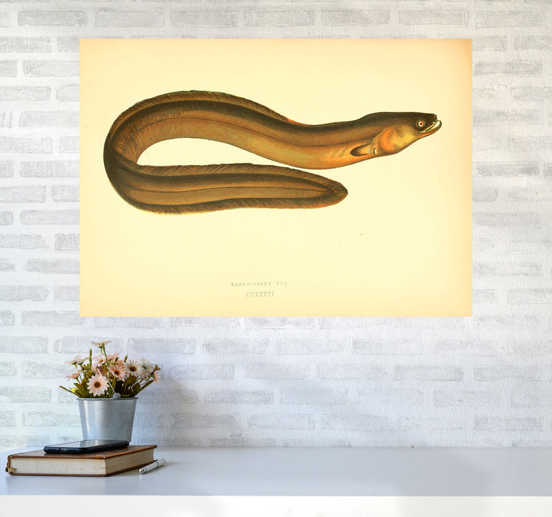 Broad Nosed Eel Art Print by Jason Stanley A1 Black Frame