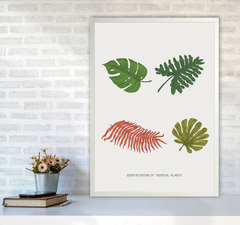 Identification Of Tropical Plants Art Print by Jason Stanley A1 Oak Frame