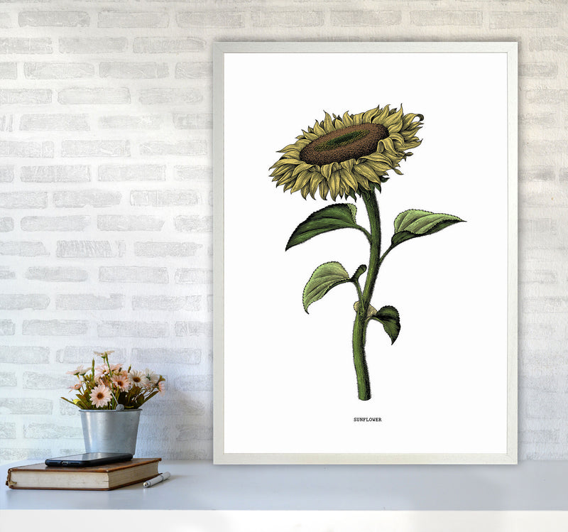 Sunflowers For President Art Print by Jason Stanley A1 Oak Frame