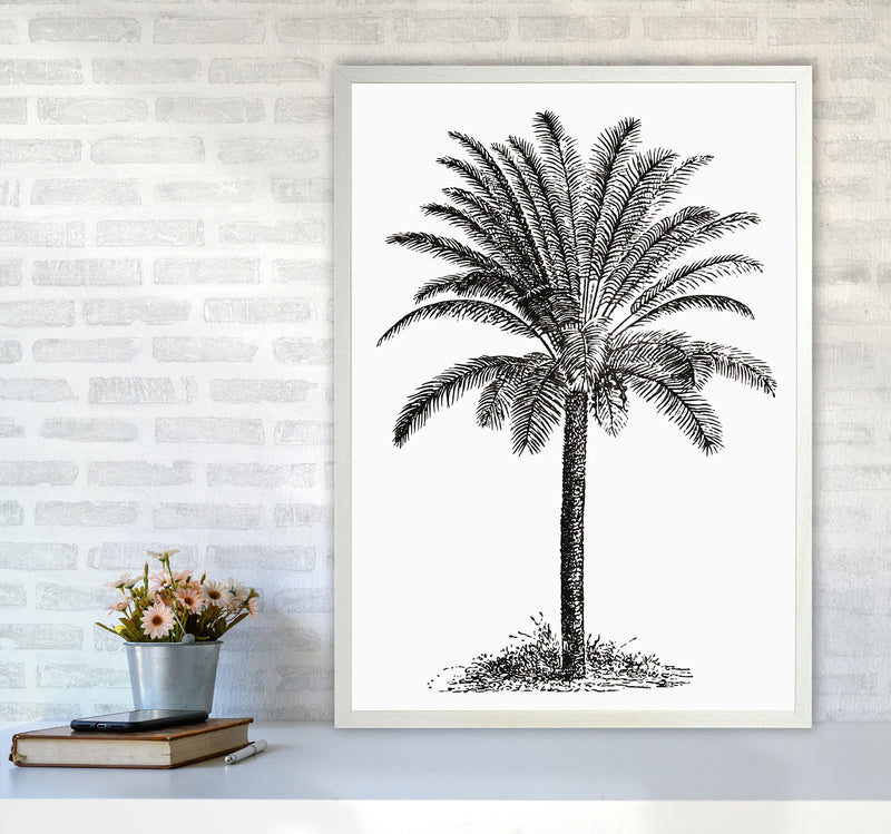 Vintage Palm Tree Art Print by Jason Stanley A1 Oak Frame