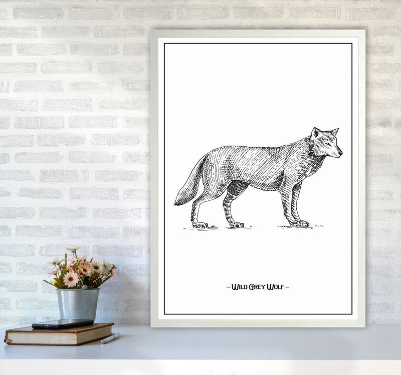 Wild Grey Wolf Art Print by Jason Stanley A1 Oak Frame
