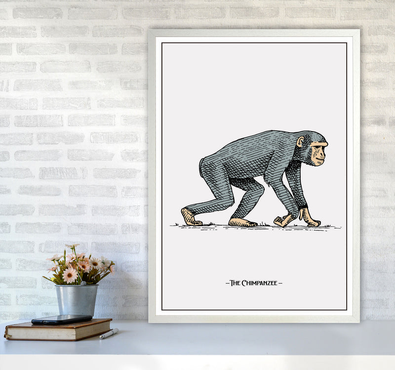 The Chimpanzee Art Print by Jason Stanley A1 Oak Frame