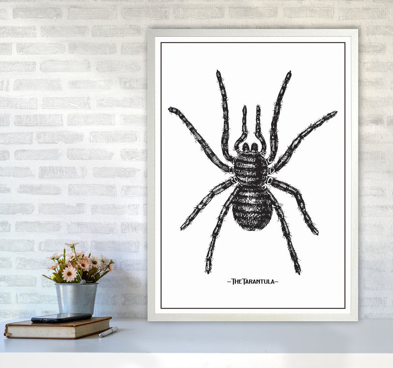 The Tarantula Art Print by Jason Stanley A1 Oak Frame