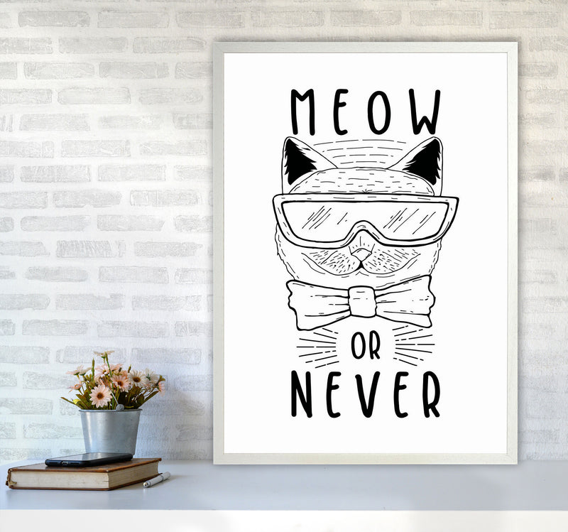 Meow Or Never Art Print by Jason Stanley A1 Oak Frame