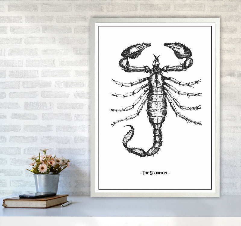 The Scorpion Art Print by Jason Stanley A1 Oak Frame