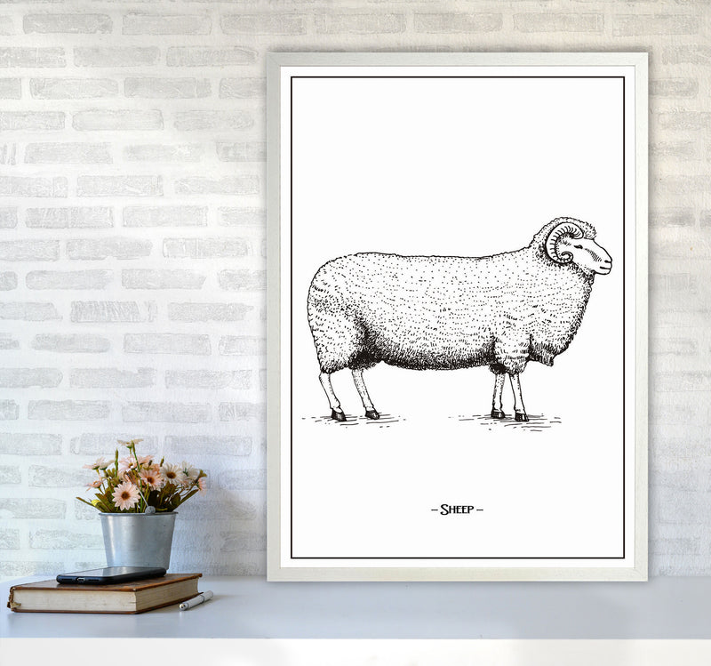 Sheep Art Print by Jason Stanley A1 Oak Frame