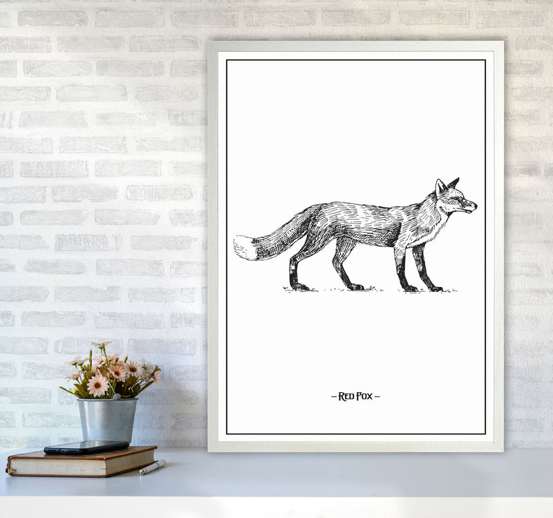 Red Fox Art Print by Jason Stanley A1 Oak Frame