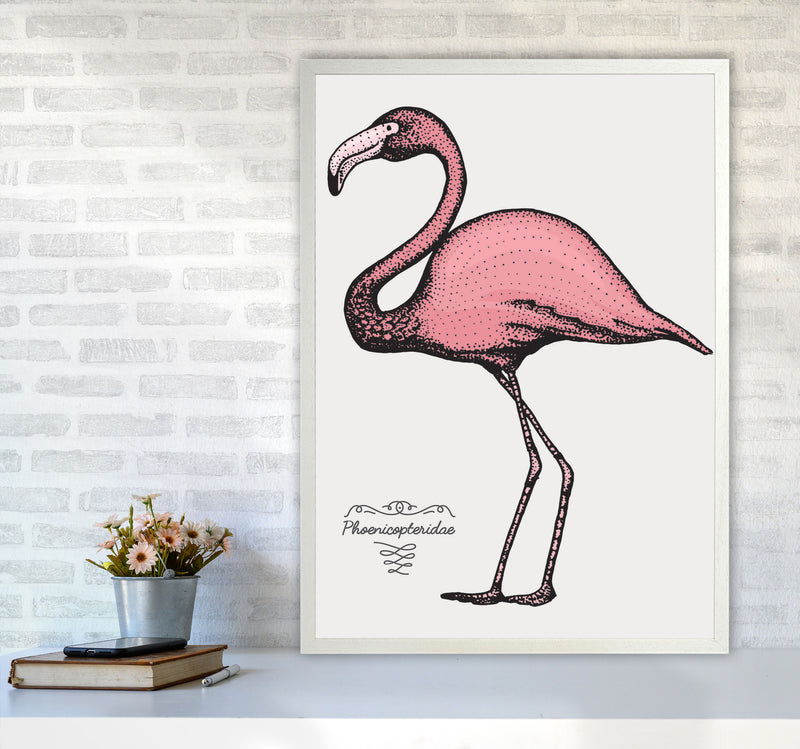 Flamingo Art Print by Jason Stanley A1 Oak Frame