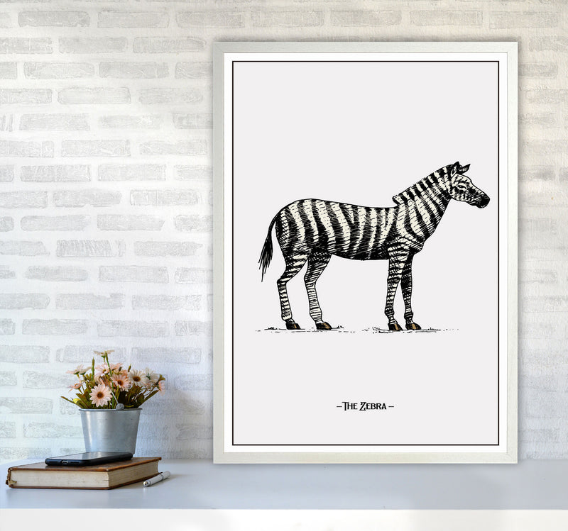The Zebra Art Print by Jason Stanley A1 Oak Frame