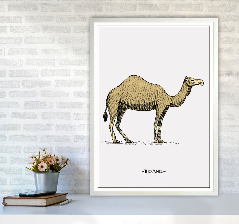 The Camel Art Print by Jason Stanley A1 Oak Frame