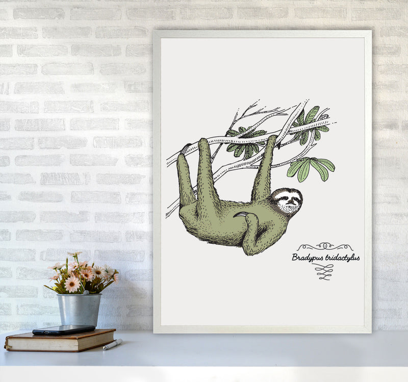 Sloth Art Print by Jason Stanley A1 Oak Frame