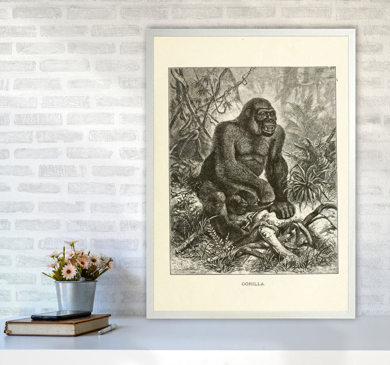 The Other King Of The Jungle Art Print by Jason Stanley A1 Oak Frame
