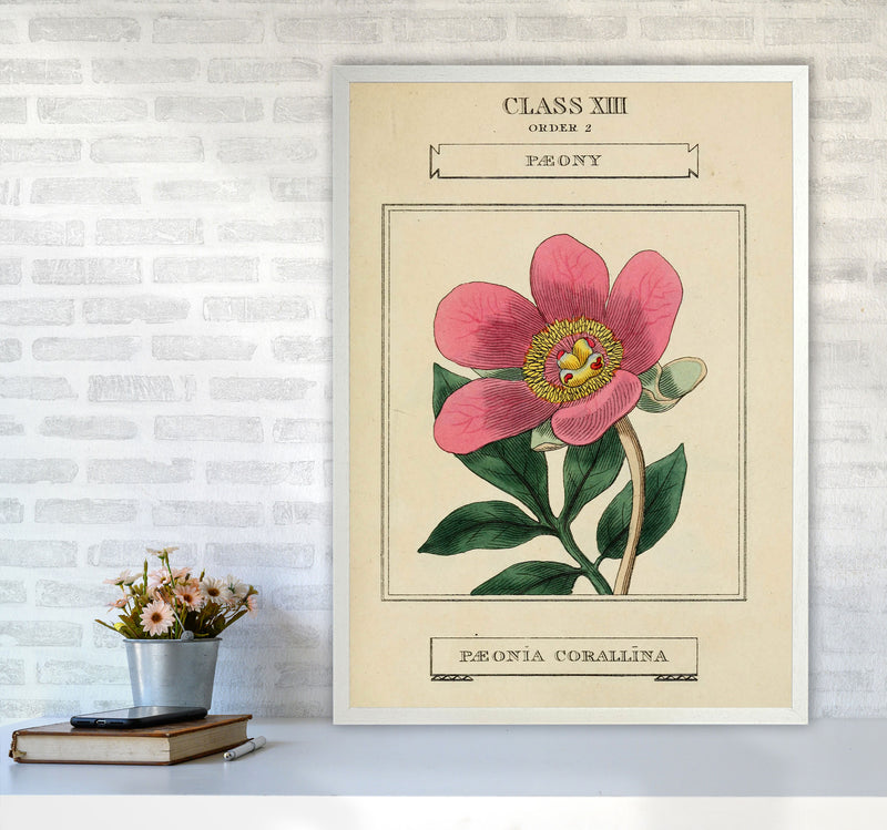 Vintage Flower Series 6 Art Print by Jason Stanley A1 Oak Frame