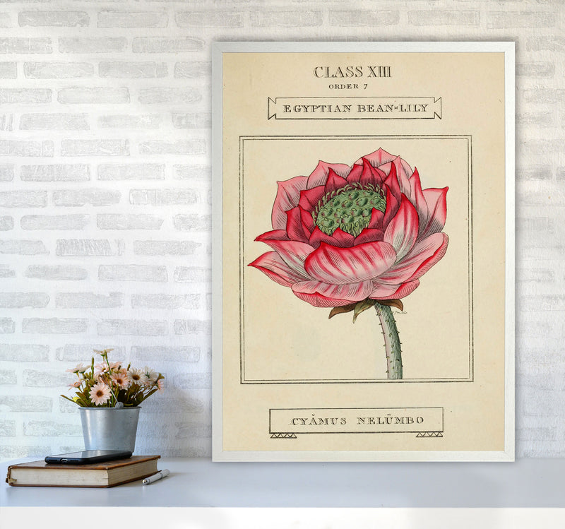 Vintage Flower Series 7 Art Print by Jason Stanley A1 Oak Frame