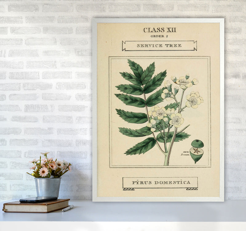 Vintage Flower Series 5 Art Print by Jason Stanley A1 Oak Frame