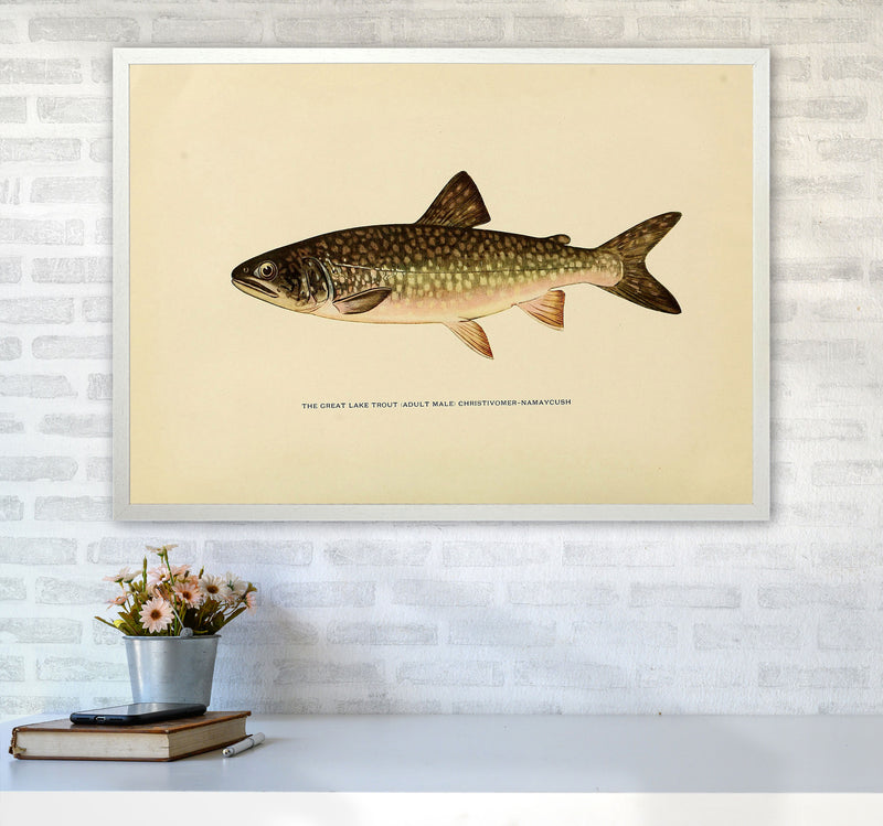 Lake Trout Illustration Art Print by Jason Stanley A1 Oak Frame