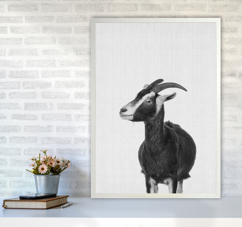 This Goat Takes The Cake Art Print by Jason Stanley A1 Oak Frame