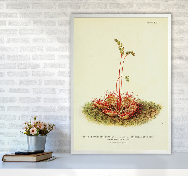 A Carnivorous Plant Art Print by Jason Stanley A1 Oak Frame