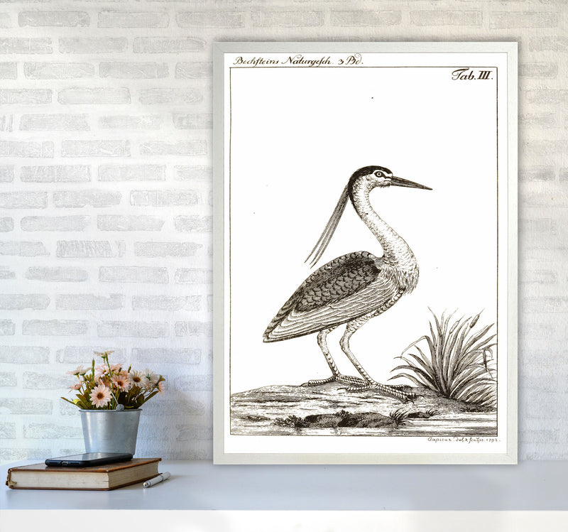 Vintage Hunting Bird Art Print by Jason Stanley A1 Oak Frame