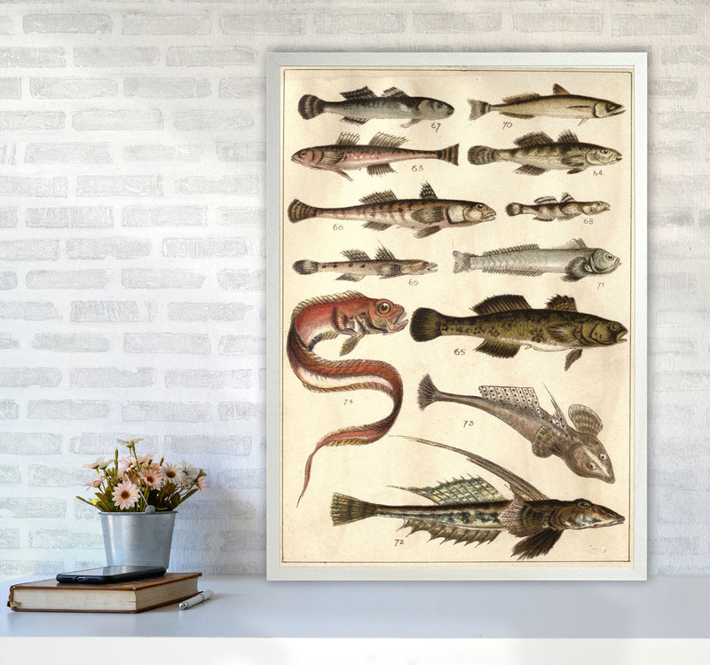 Creatures Of The Sea Art Print by Jason Stanley A1 Oak Frame
