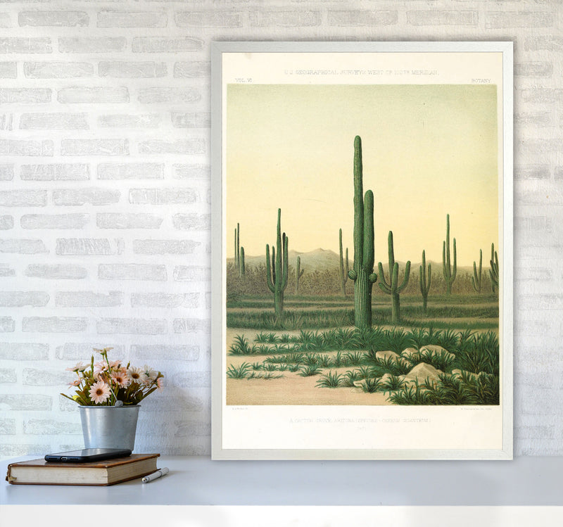 Vintage Desert Cactus Art Print by Jason Stanley A1 Oak Frame