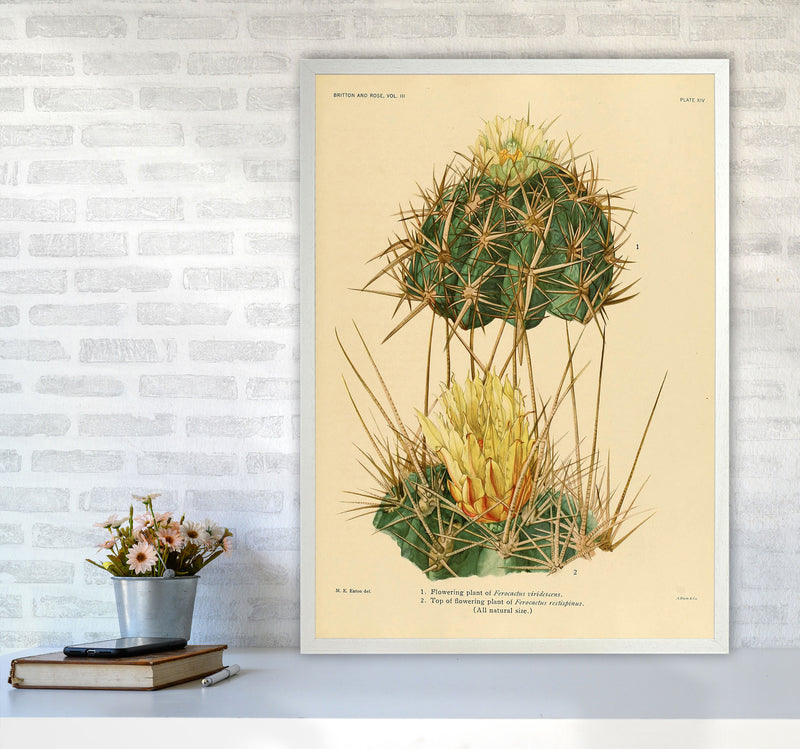 Cactus Series 10 Art Print by Jason Stanley A1 Oak Frame