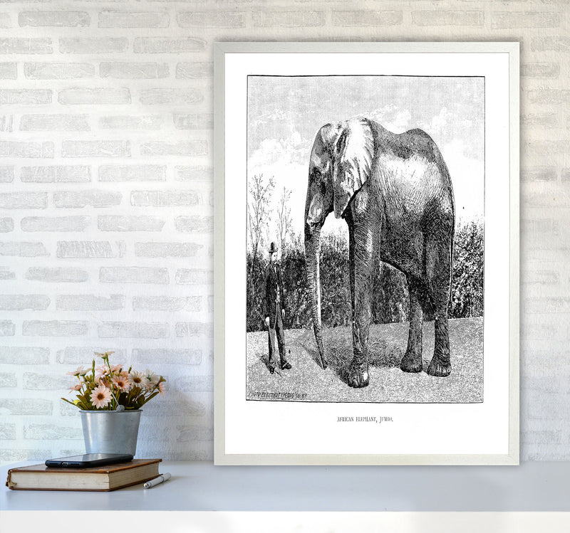 African Elephant Art Print by Jason Stanley A1 Oak Frame