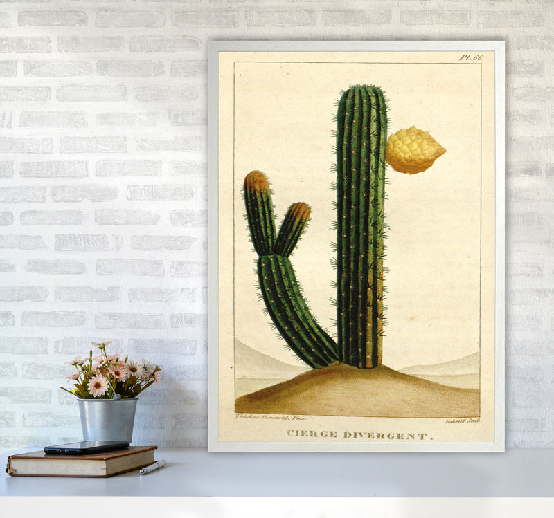 Vintage Cactus II Art Print by Jason Stanley A1 Oak Frame