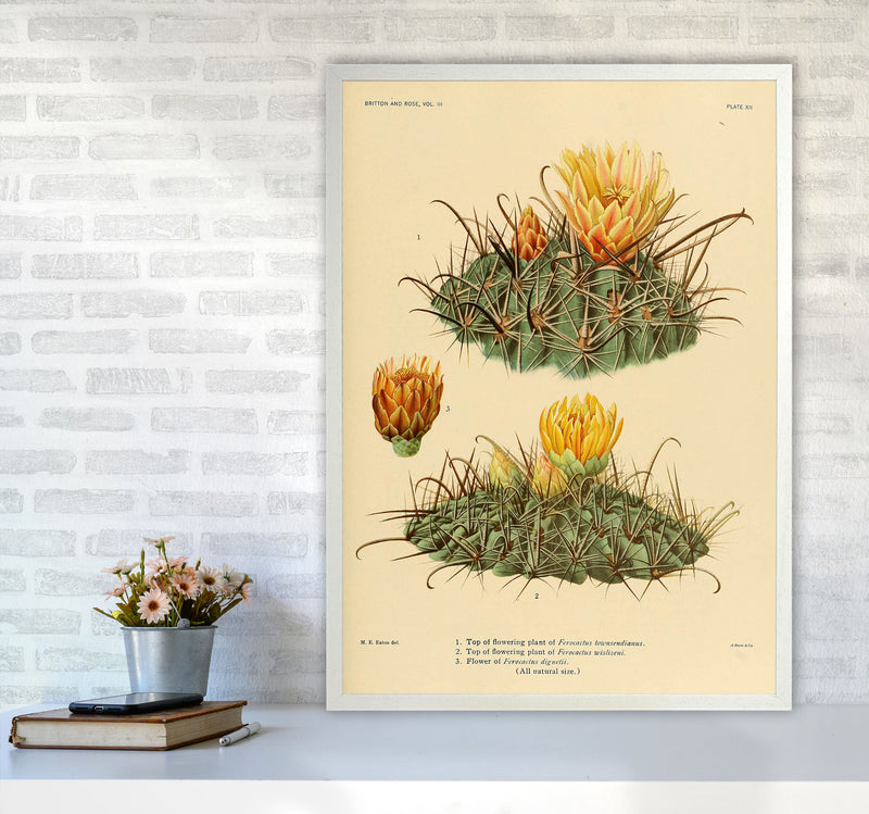 Cactus Series 9 Art Print by Jason Stanley A1 Oak Frame