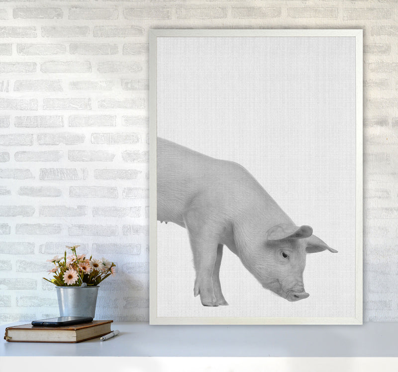 The Cleanest Pig Art Print by Jason Stanley A1 Oak Frame