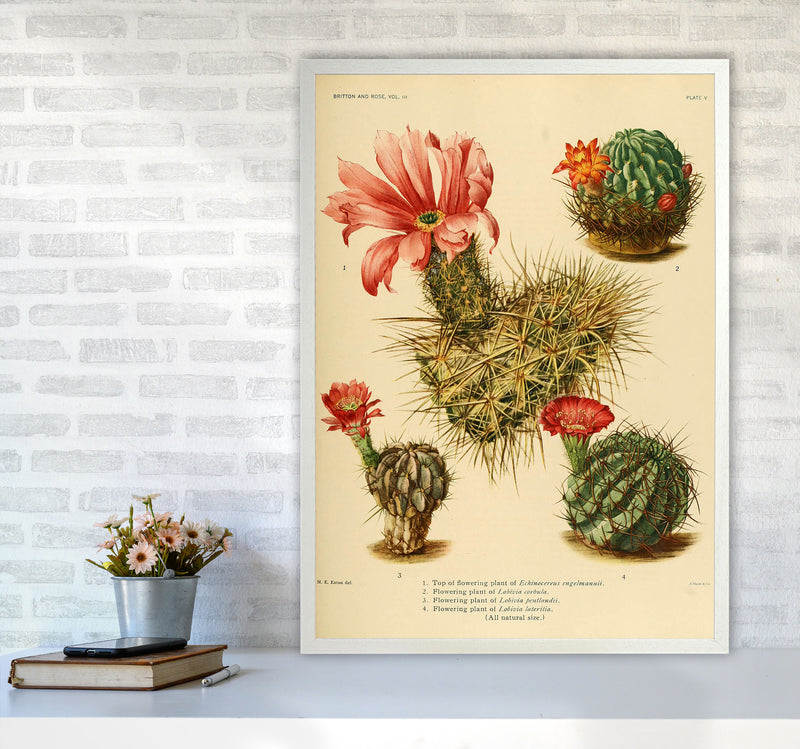 Cactus Series 4 Art Print by Jason Stanley A1 Oak Frame