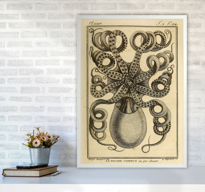 Vintage Octopus Art Print by Jason Stanley A1 Oak Frame