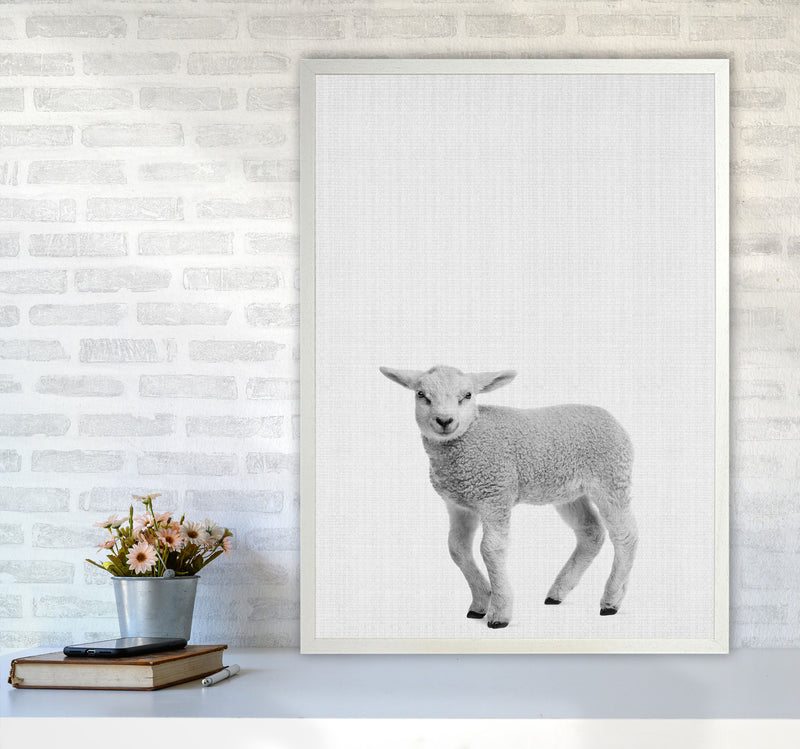 Lamb Art Print by Jason Stanley A1 Oak Frame