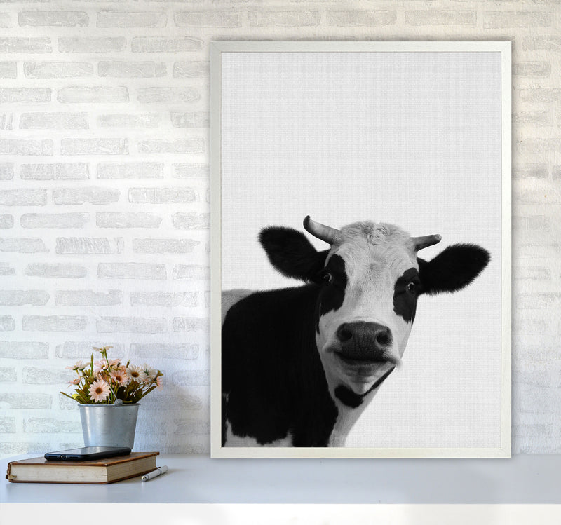 Holy Cow Art Print by Jason Stanley A1 Oak Frame