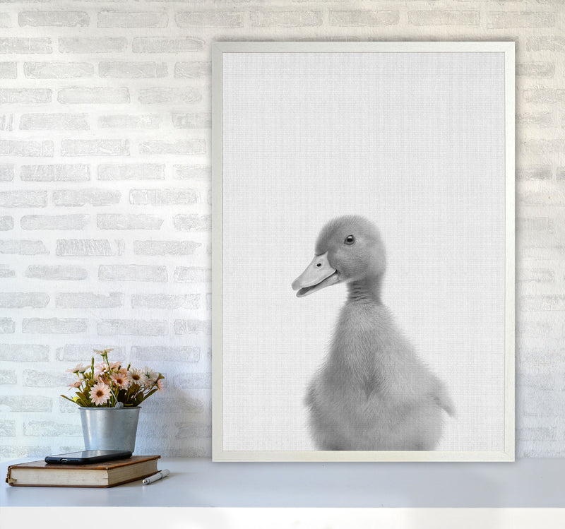 Curious Duck Art Print by Jason Stanley A1 Oak Frame