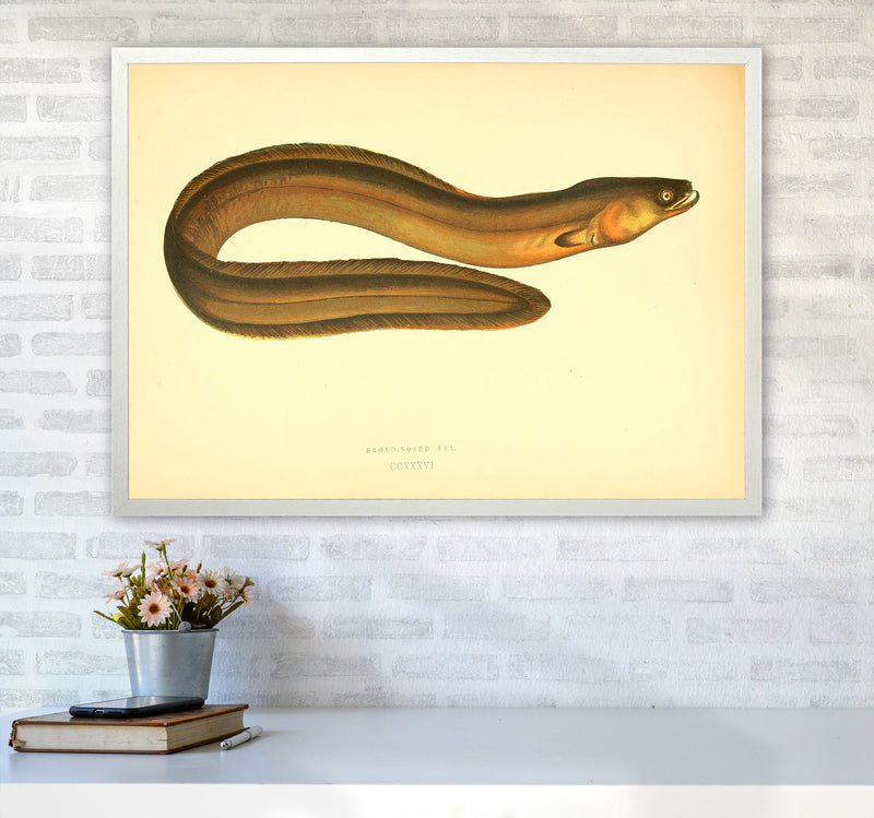 Broad Nosed Eel Art Print by Jason Stanley A1 Oak Frame