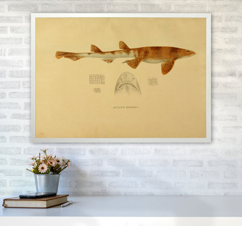 Shark Series 1 Art Print by Jason Stanley A1 Oak Frame
