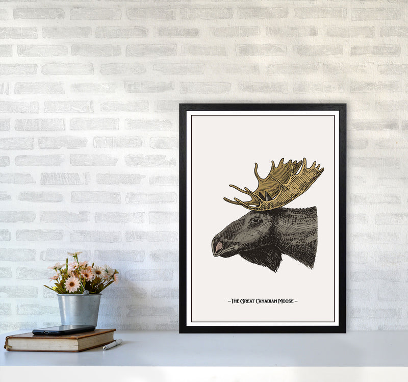 The Great Canadian Moose Art Print by Jason Stanley A2 White Frame
