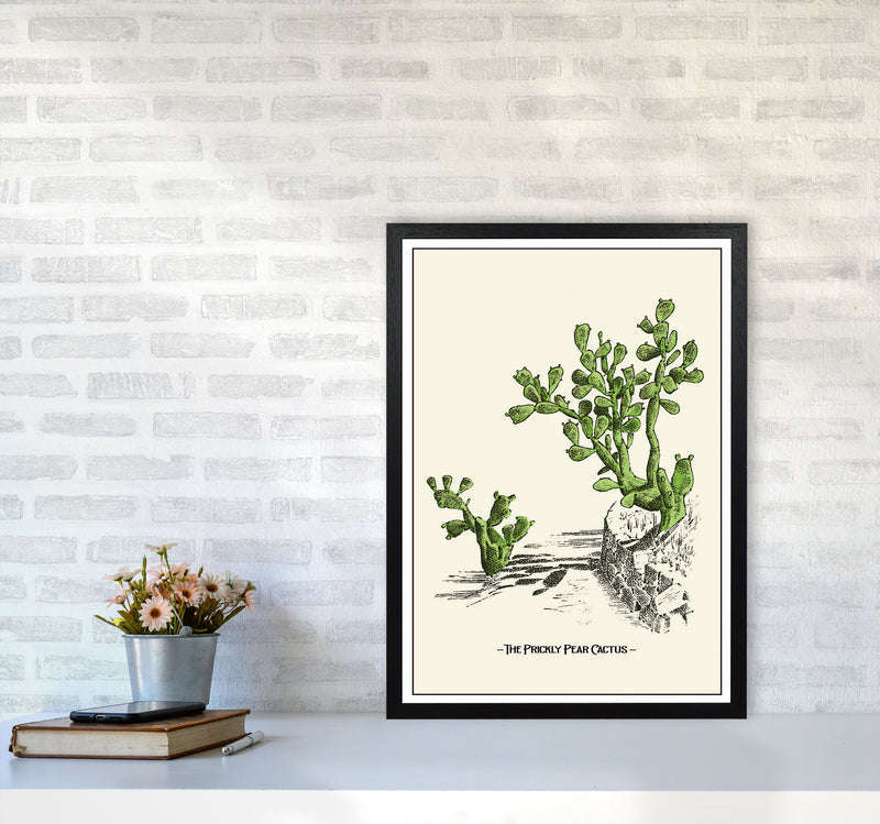 The Prickly Pear Cactus Art Print by Jason Stanley A2 White Frame