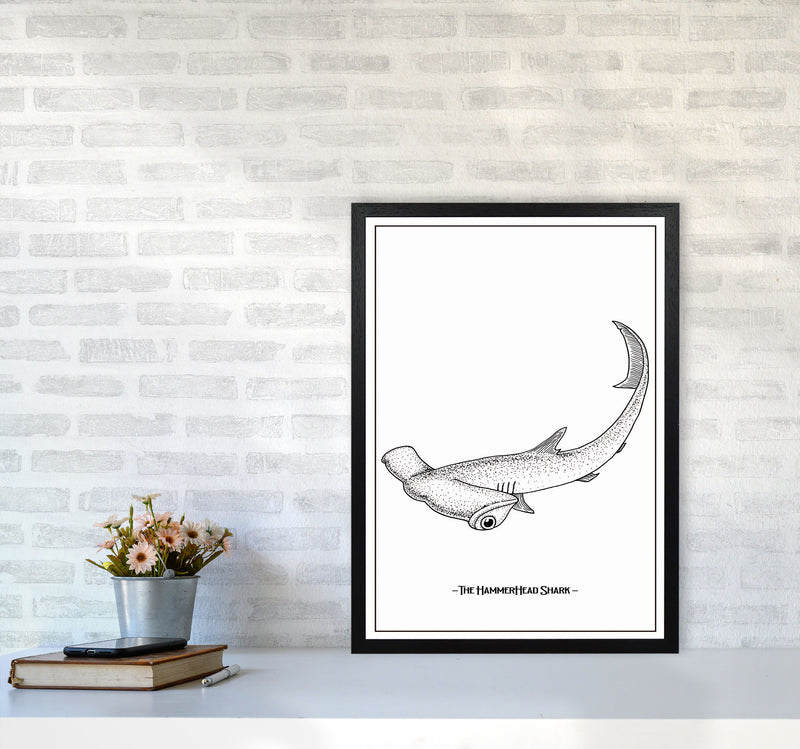 The Hammerhead Shark Art Print by Jason Stanley A2 White Frame