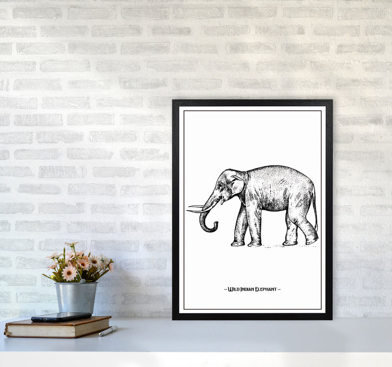 Wild Indian Elephant Art Print by Jason Stanley A2 White Frame