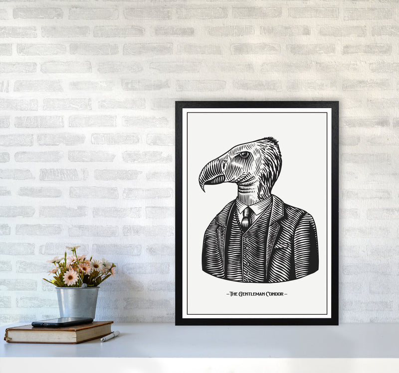 The Gentleman Condor Art Print by Jason Stanley A2 White Frame