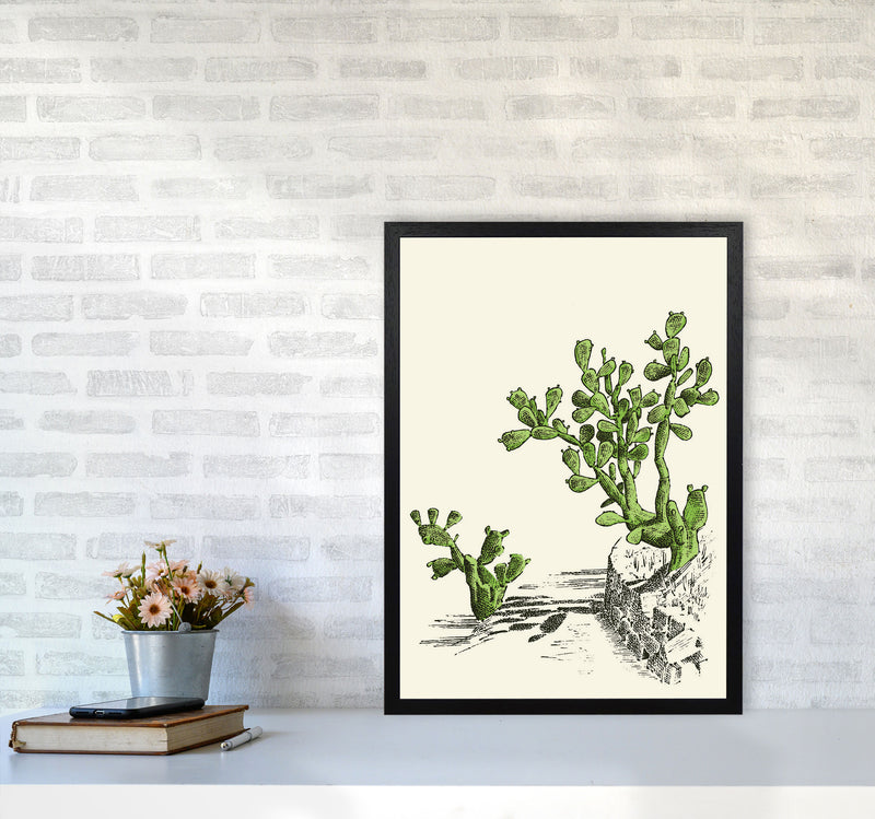Prickly Pear Cactus Art Print by Jason Stanley A2 White Frame