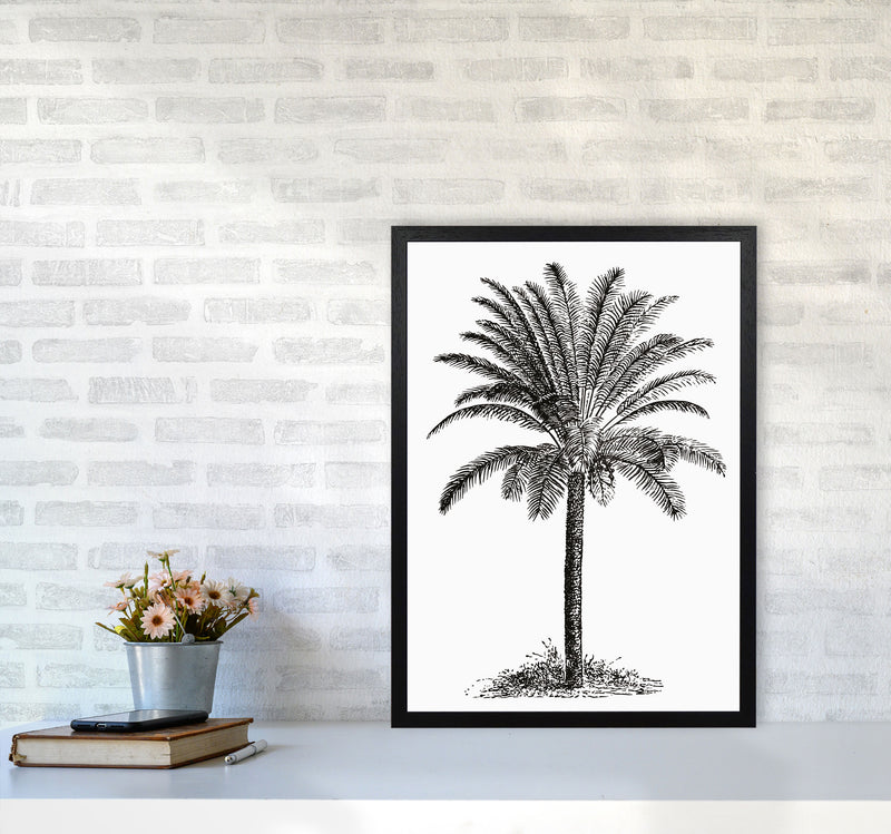 Vintage Palm Tree Art Print by Jason Stanley A2 White Frame