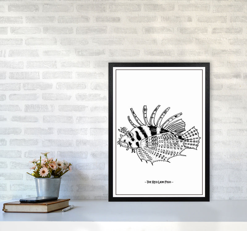 The Red Lion Fish Art Print by Jason Stanley A2 White Frame