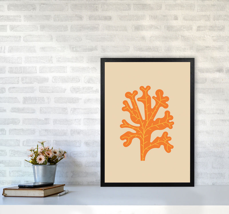 Orange Seaweed Art Print by Jason Stanley A2 White Frame